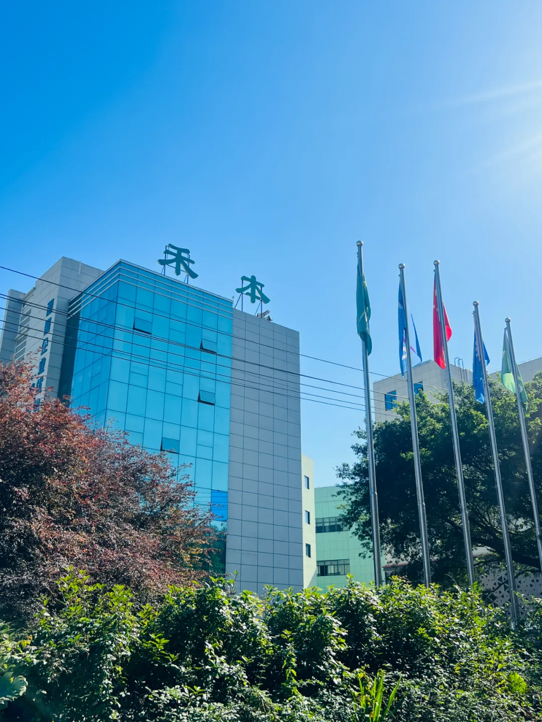 微信圖片_20241205081900.png